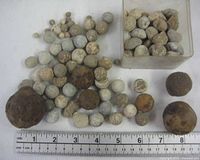 overview of lead and steel shot with ruler for scale