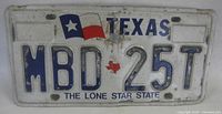 Front of Texas license plate showing graphics and number
