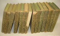 Row of roughly 14 Bobbsey Twins hardcover spines showing publisher, pattern and assorted titles