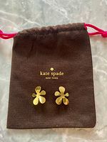 Earrings on branded dust bag