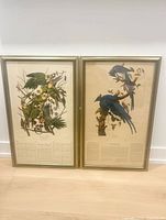 Both framed calendar prints side by side