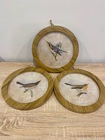 All three round framed bird prints displayed together