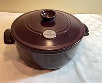 Side view of Dutch oven with lid showing color, handles, and brand medallion