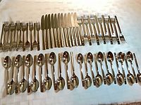 All 57 pieces laid out: knives, forks, spoons, spreaders