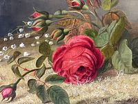 Close-up of rose and foliage on canvas
