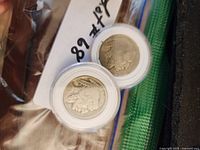 Two Buffalo nickels in plastic holders showing obverse design