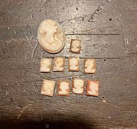 Group of all ten cameos on wood surface