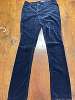 Full view Theory navy velvet pants front