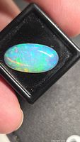 Oval cabochon opal in black gem box showing multicolored play-of-color