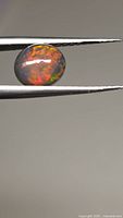 Front view of oval cabochon opal in tweezers showing multicolor play-of-color