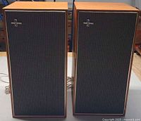 Front view of both Philips 22GL566 speakers showing grilles and logos