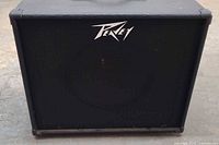Front view of Peavey speaker cabinet showing grille and logo