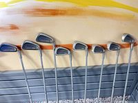 Eight Lynx Tigress irons standing against wall