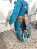 Full view of golf bag with one headcover visible