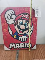 Front view showing full Mario canvas with measuring tape indicating 20" height