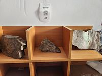 Three ammonite shell fragments on shelf cubbies