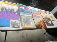 Tabletop view of approximately 20 visible LPs laid out in two rows