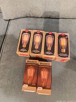 Six boxed vintage Edison bulbs on couch: four Globe 60 W, two Bulbrite 40 W