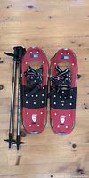 Pair of snowshoes and trekking poles full view