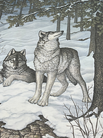 Full view of lithograph showing wolves in snowy forest
