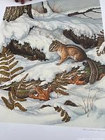 Full view of lithograph showing chipmunk scene