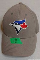 Front view of gray cap featuring Toronto Blue Jays embroidered logo
