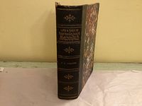 Spine showing title, author and decorative gilt on cloth binding