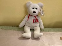 Front view of white Ty Maple the Bear with tag attached