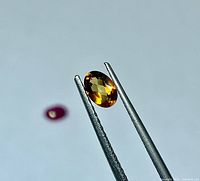 Oval golden orange tourmaline held by tweezers, showing face-up brilliance