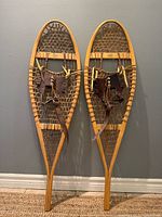 Full view showing both snowshoes front side, frames, webbing, bindings