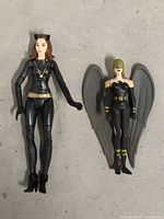 Front view of Catwoman and Hawkgirl figures