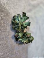 Close-up of two green artificial succulent clusters attached to fabric
