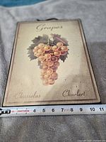 Front view of entire plaque showing grape illustration and text