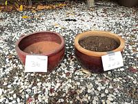 Both planters side by side on gravel