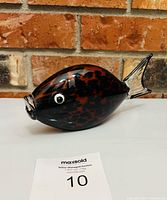 Right side view of glass fish showing mottled pattern and eye