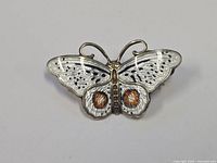 Front view showing enamel butterfly brooch