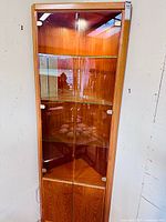 Full view of teak corner cabinet showing upper glass door section, glass shelves, lower wood doors