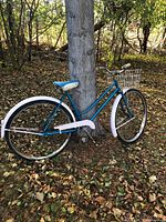 Full left side view of bicycle leaning on tree showing frame, wheels, fenders, saddle, basket