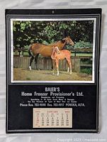 Full calendar front view showing horse image and January 1971 pad