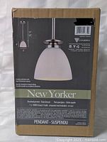Front of sealed box showing pendant light image and specs