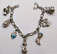 Overall view of bracelet showing chain and all eight charms