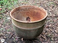 Full view of pot showing exterior condition and handles