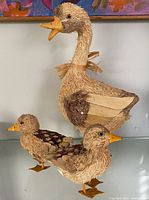 Mother and two ducklings full view