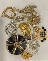 Group view of all brooches showing variety of designs and finishes