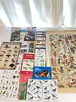 All items laid out: guides, gemstone sets, wall hanging, octopus sign