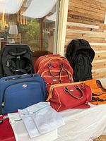 Group shot of all luggage items displayed together