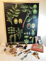 Overview of entire lot on table with poster, jars, nutcrackers, book and frames