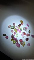 Full group of multicoloured leaf-cut tourmalines under direct light