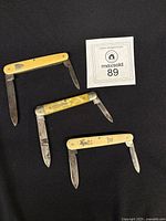 All three folding fruit knives laid out showing both blades and handle colours