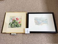 Front view of both framed watercolour paintings side by side